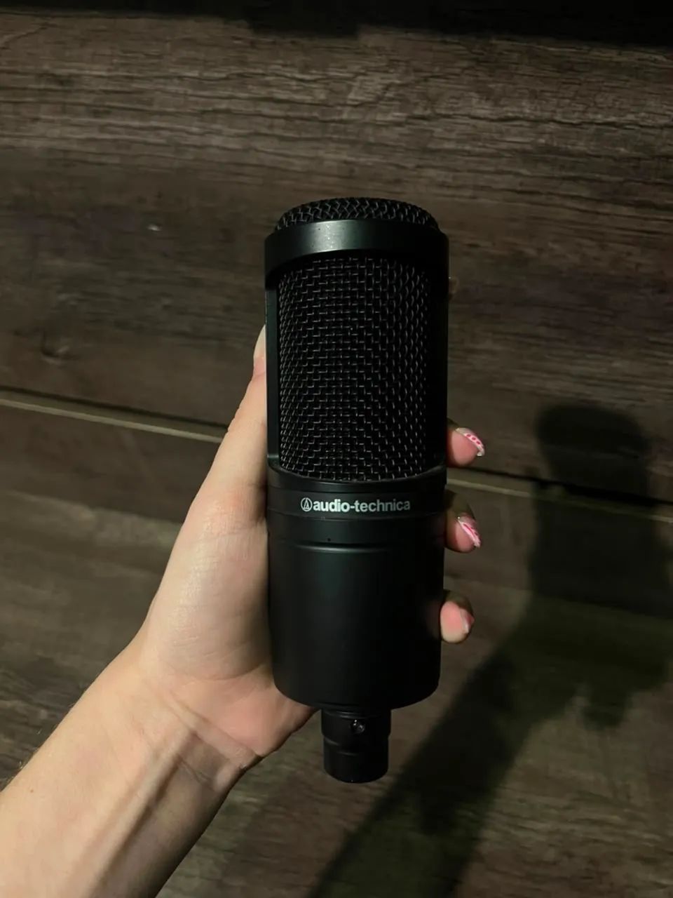Mic Condensador At2020