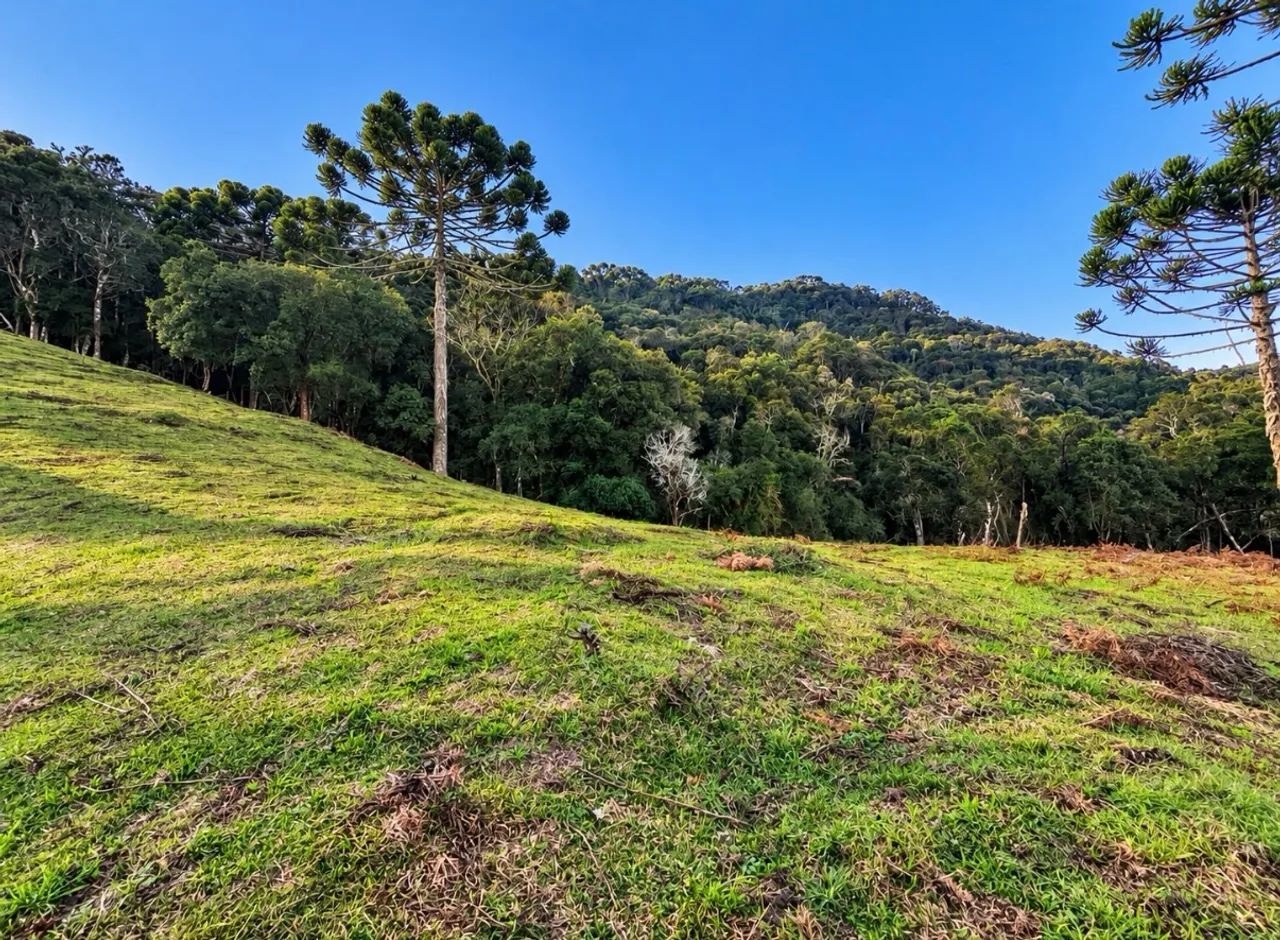Terreno com 5 hectares em Urubici SC - Foto 3