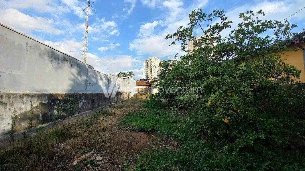 terreno - Jardim Dom Nery - Campinas - Foto 5