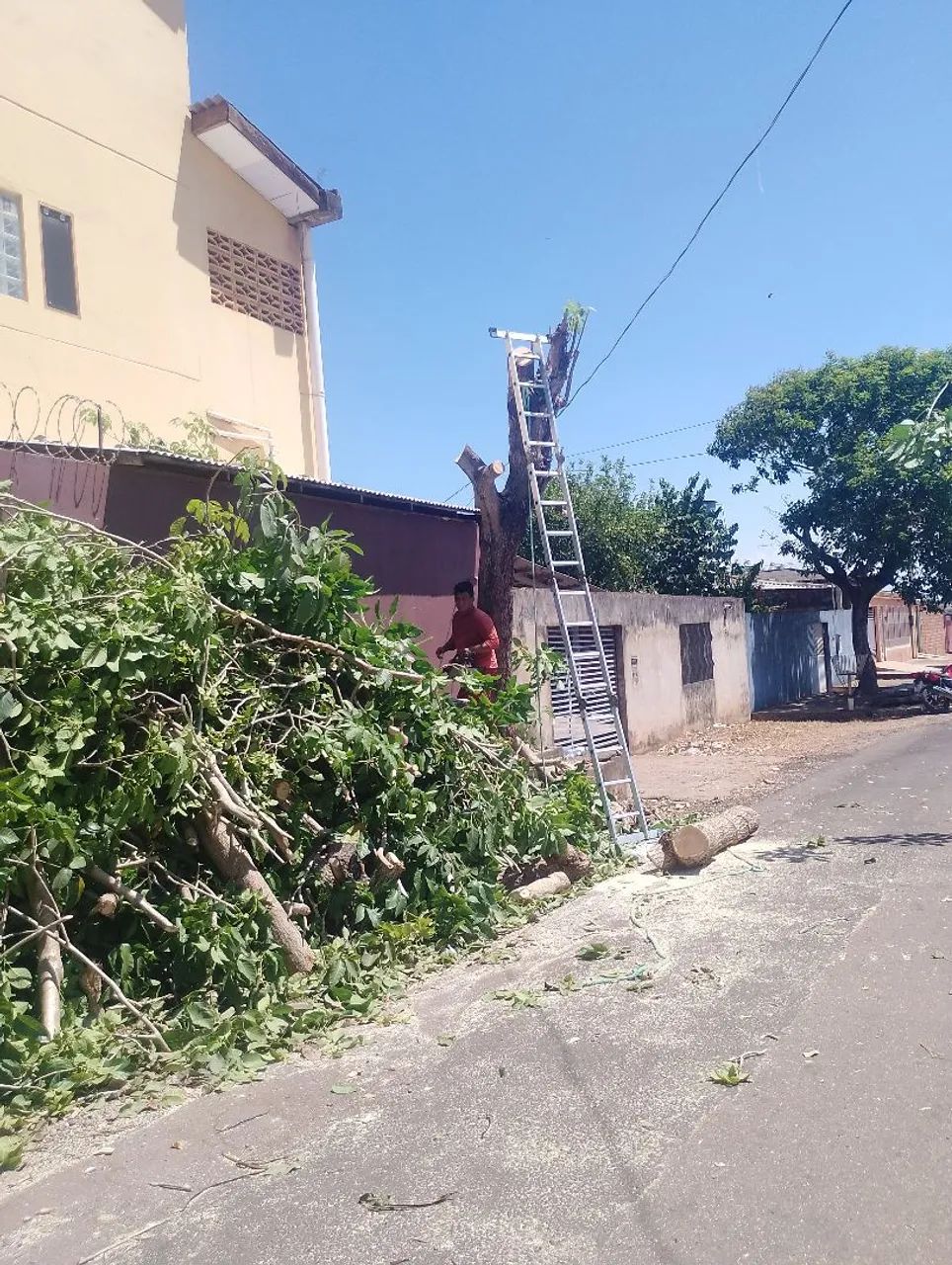 Trabalho com Corte e polda de árvore com moto serra - Foto 5