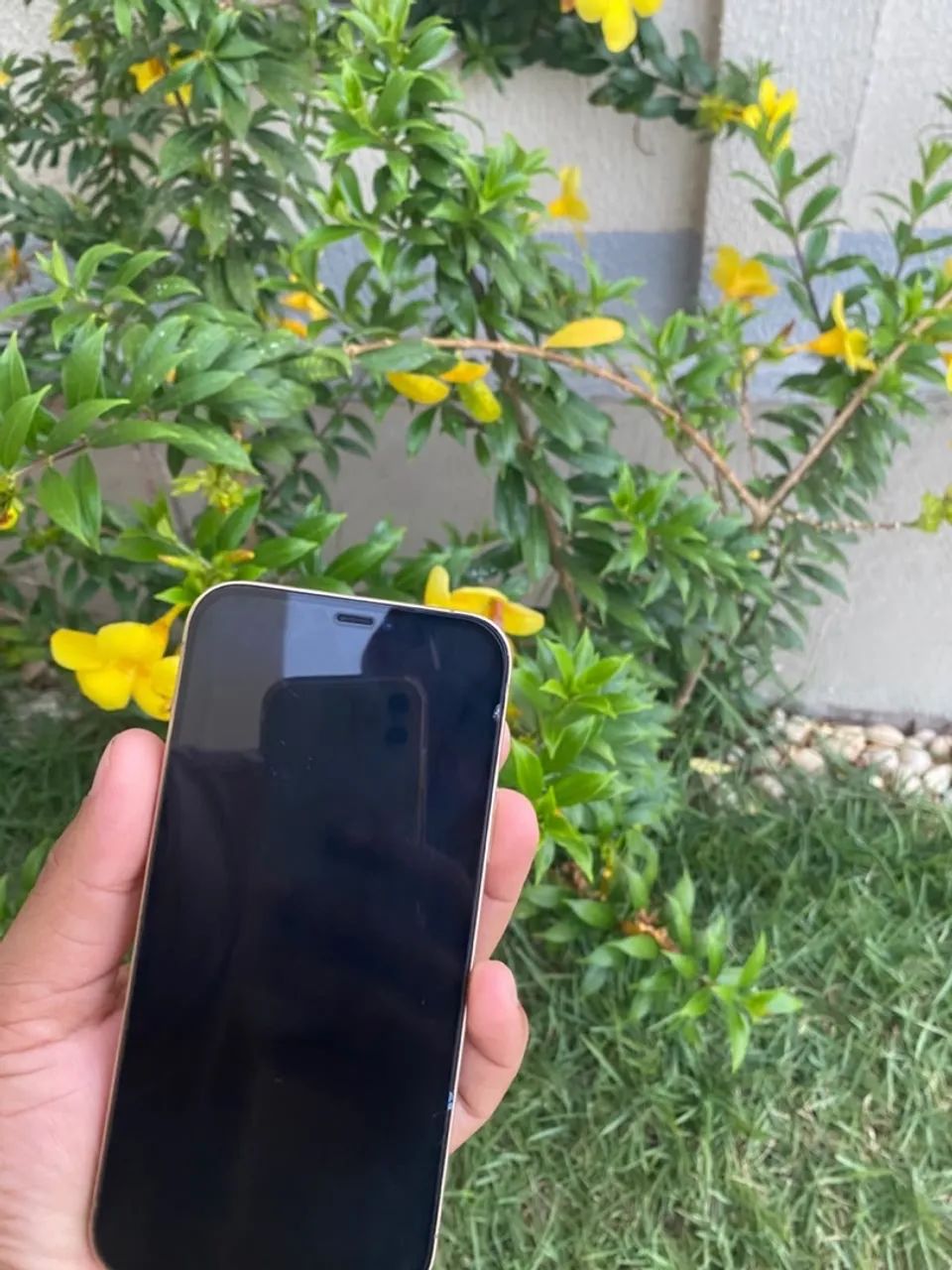 iPhone 12 Pro 256 gigas  - Foto 4