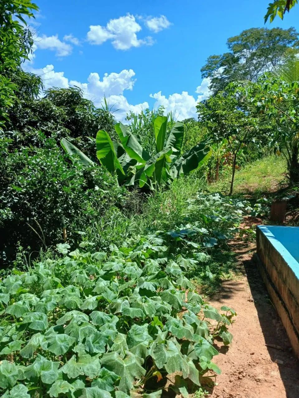 Foto - Aracruz - São José