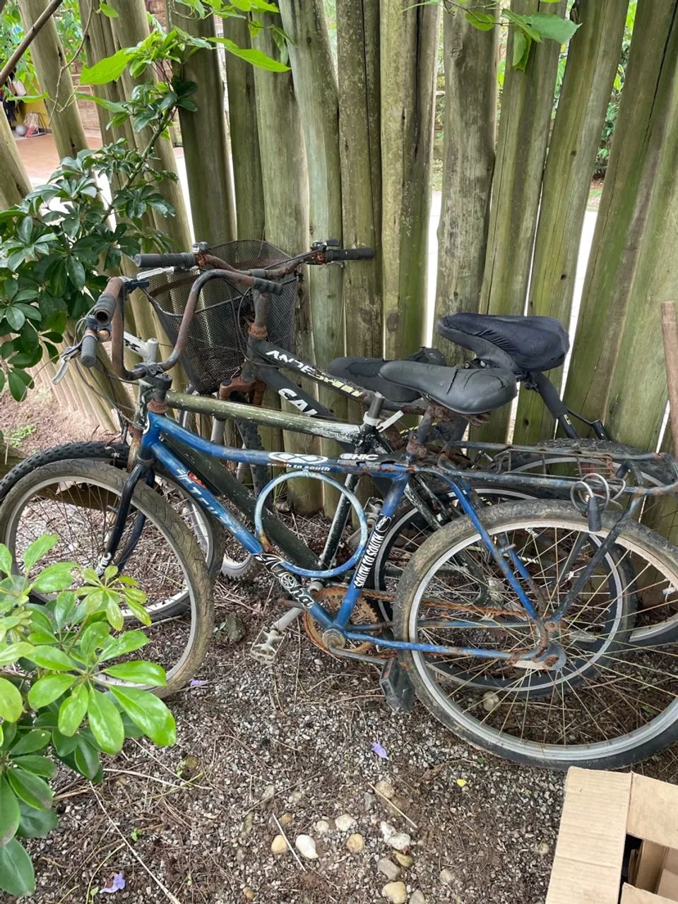 3 Bicicletas - Foto 2