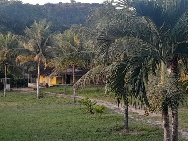 Granja à venda em Monjope ? 3 hectares e 2 casas - Foto 2