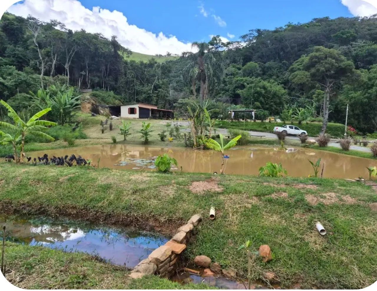 Lindo Sitio c água corrente entre Vale das Videiras e Pati de Alferes  - Foto 6