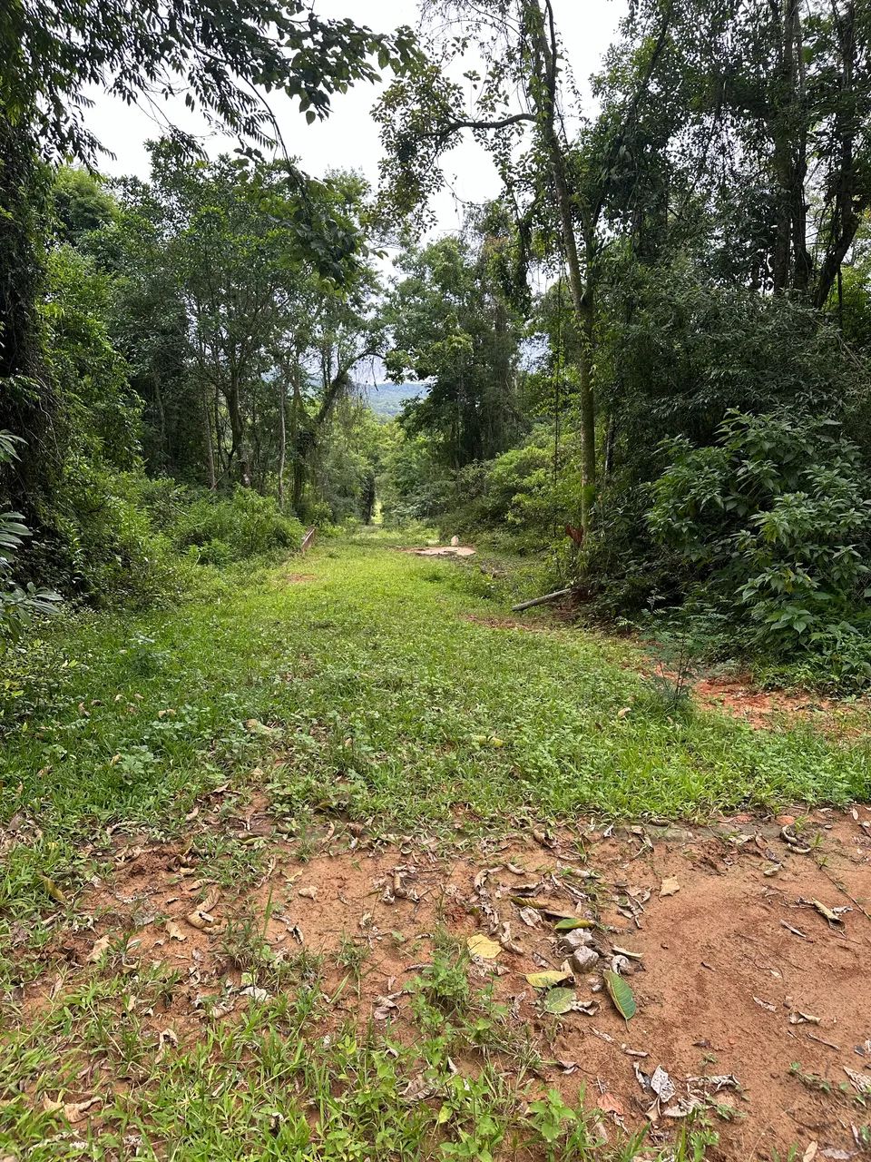 Foto - Cocal do Sul - 