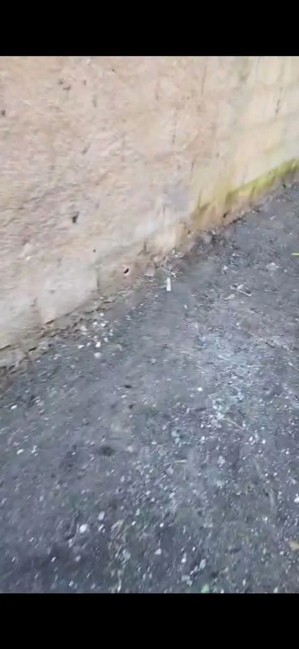 Limpeza em Geral  - Foto 3