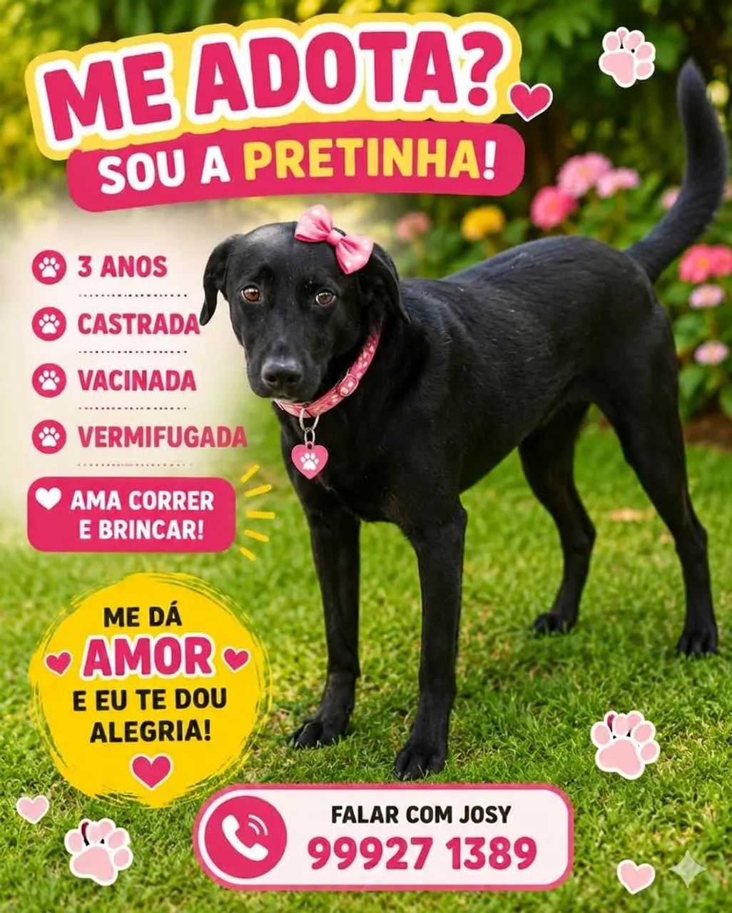 BRANQUINHA & PRETINHA - Foto 2