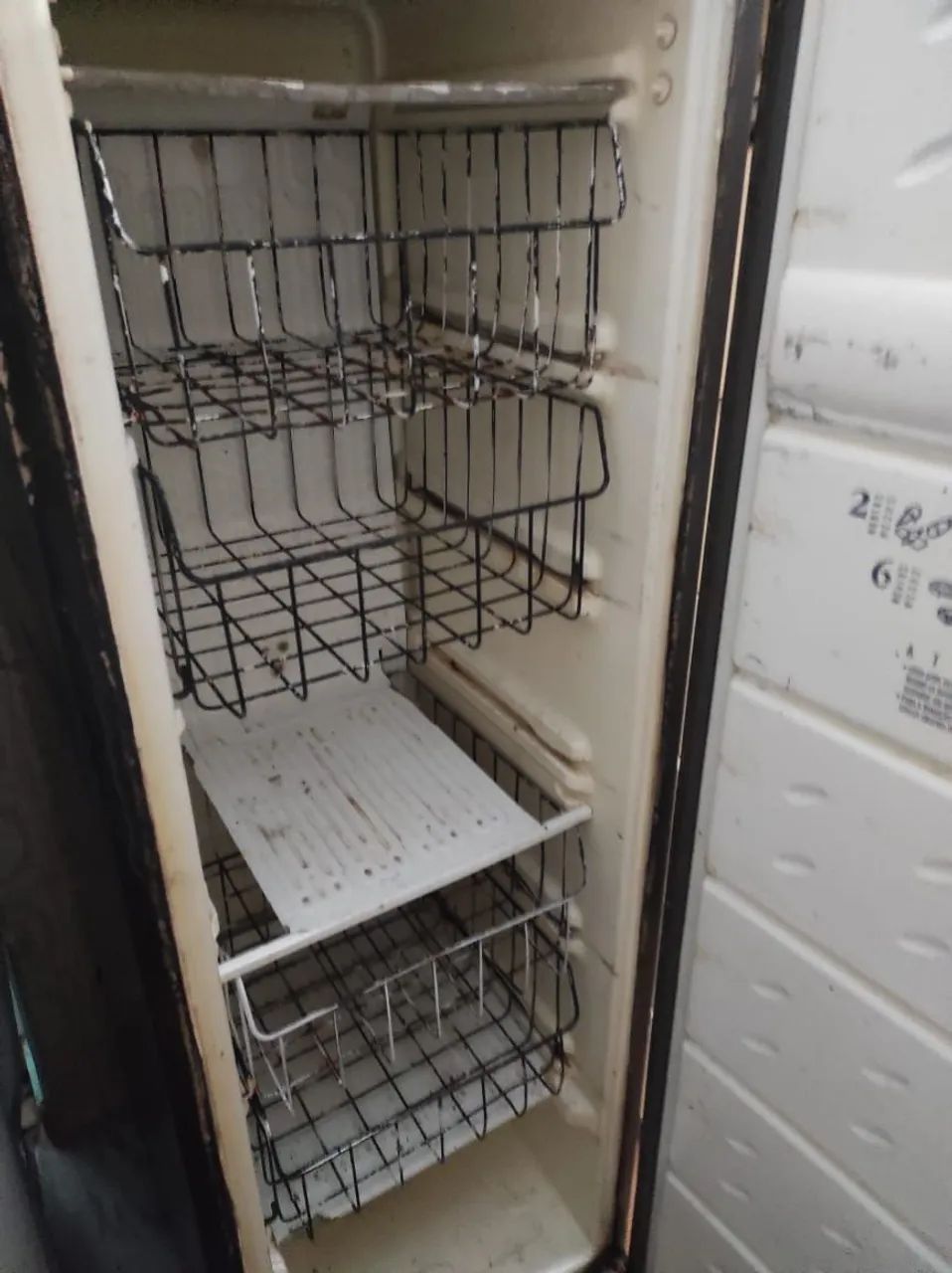 Freezer Vertical Consul