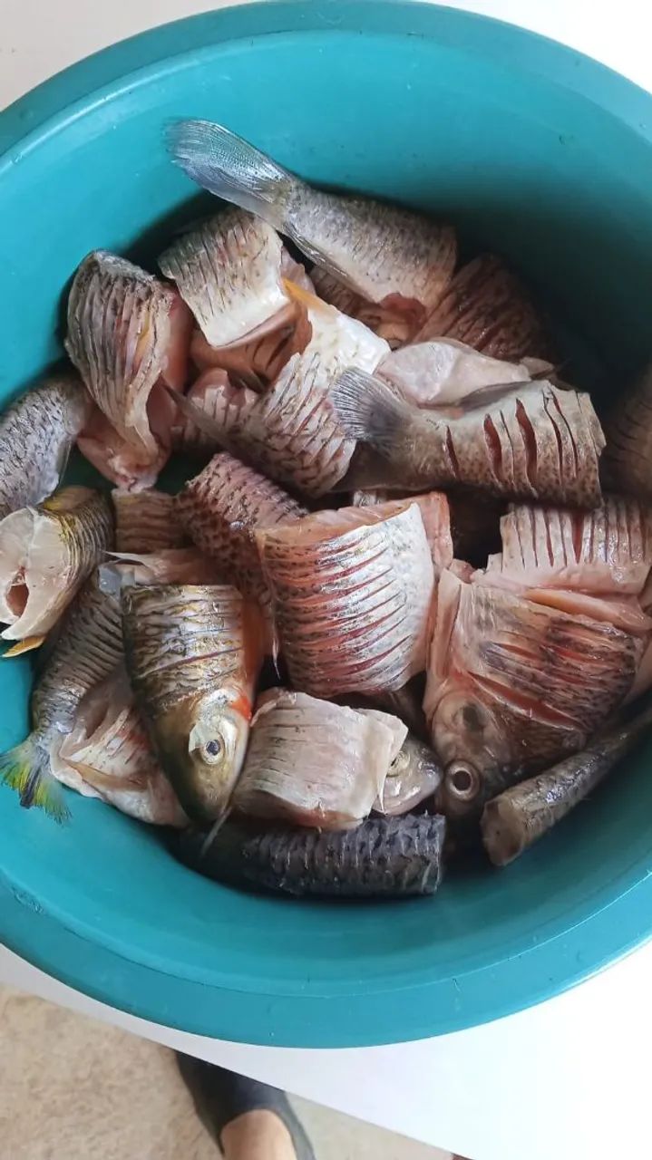 Rancho ótimo para pesca e lazer  - Foto 5