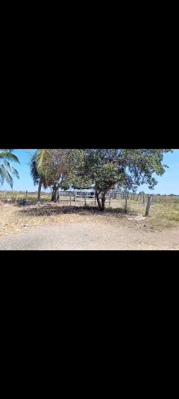VENDA DE TERRENO  - Foto 2