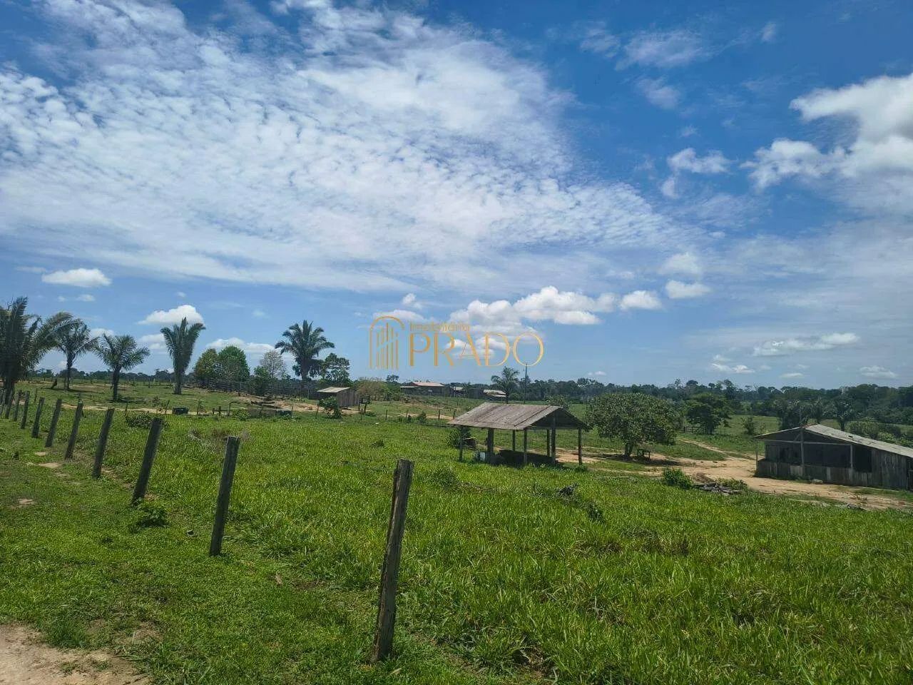 FAZENDA PRODUTIVA À VENDA