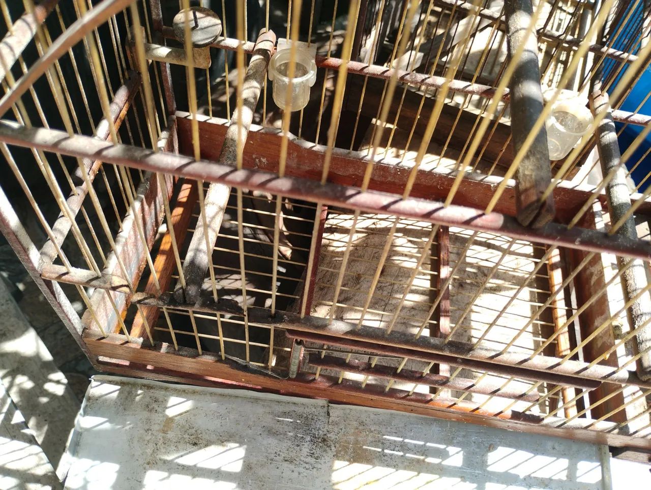 Gaiolas para passarinho  - Foto 4