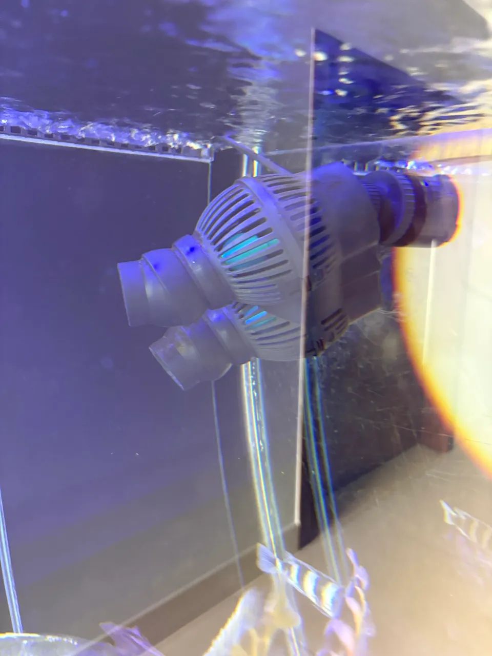 Aquário somente dinheiro , pix NÃO aceito troca ! - Foto 2