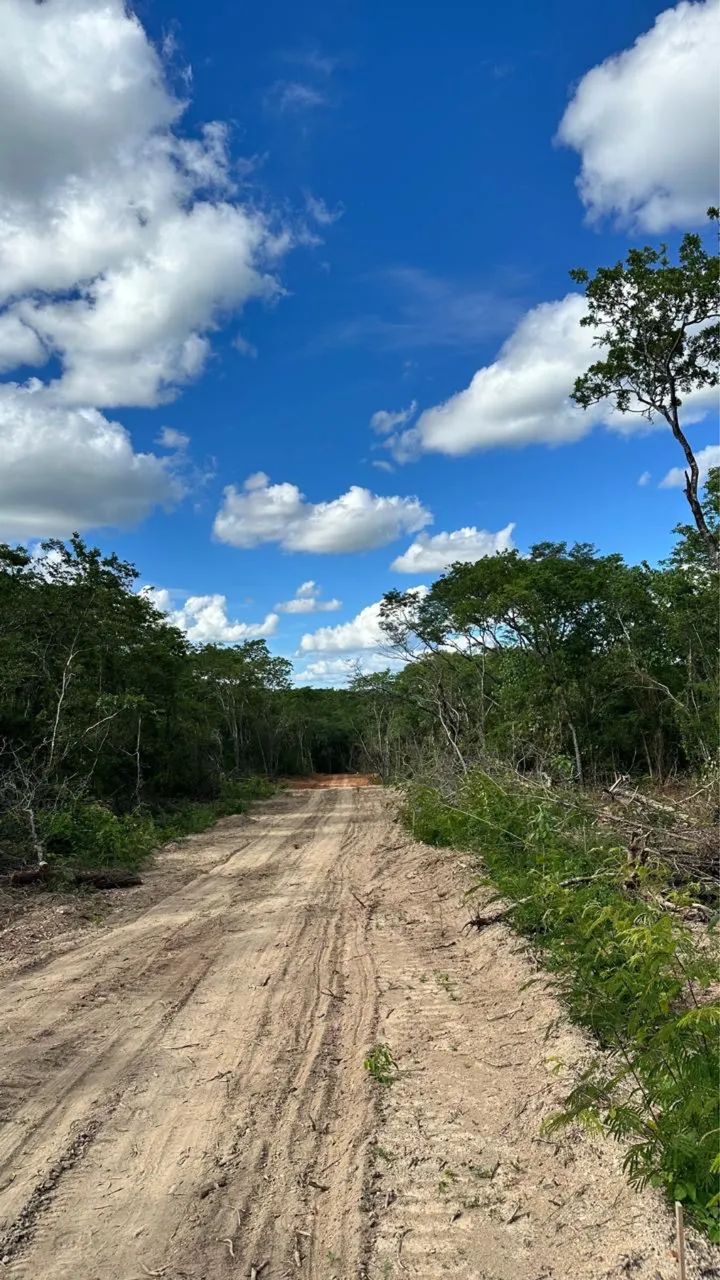 Chácaras de 1.000 m2 Próximo a Montes Claros  - Foto 2