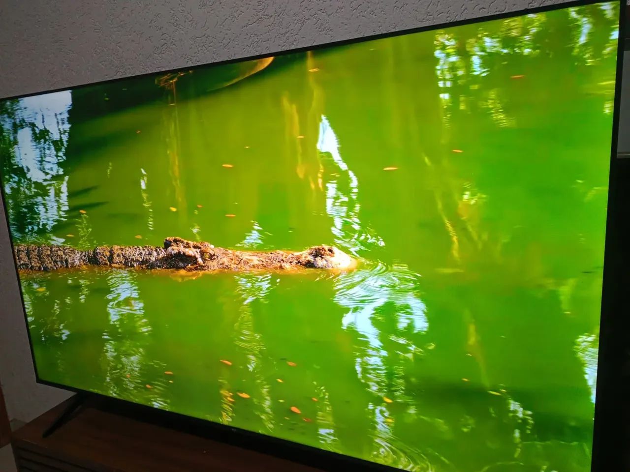 TV TCL 75 POLEGADAS 
