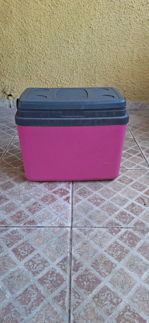 Coolers e carrinho - Foto 3