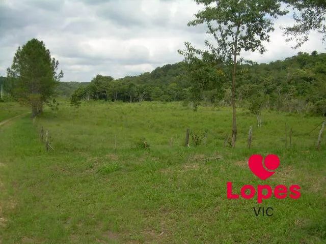 ÁREA - PARQUE SANTA ROSA - SUZANO/SP - Foto 2