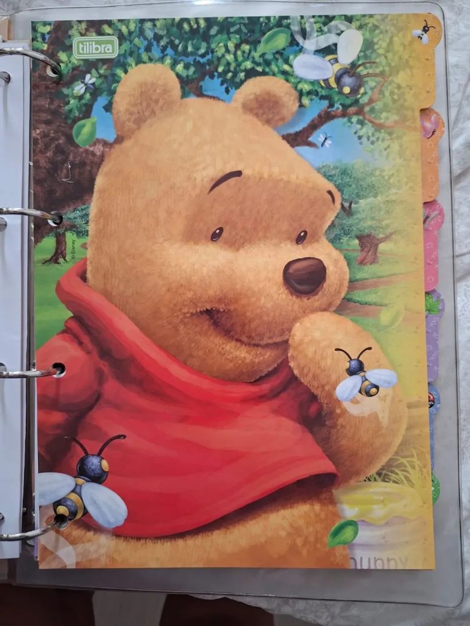 Fichario Pooh anos 2000 - Foto 5