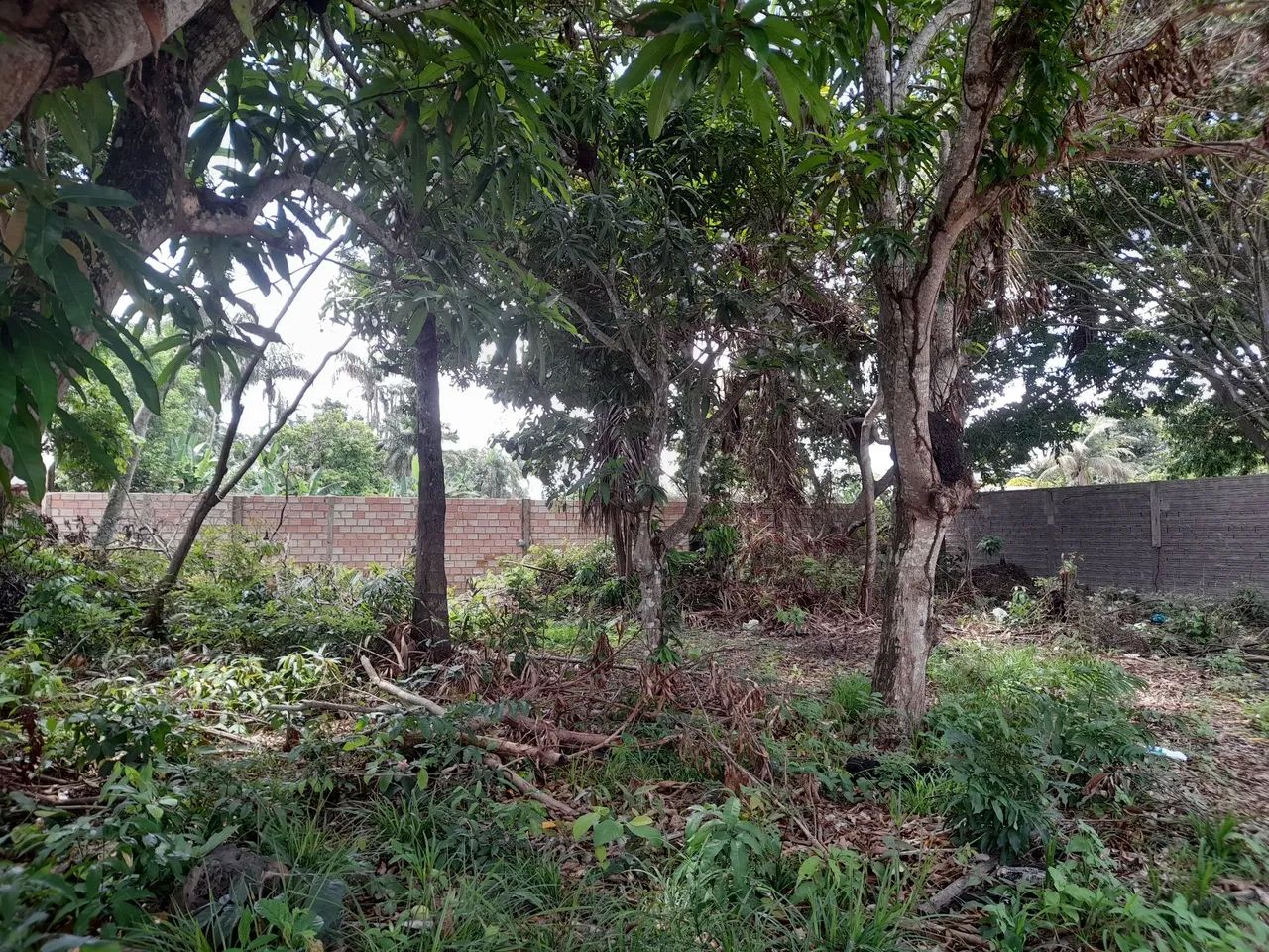 Terreno no bairro Área verde. - Foto 3