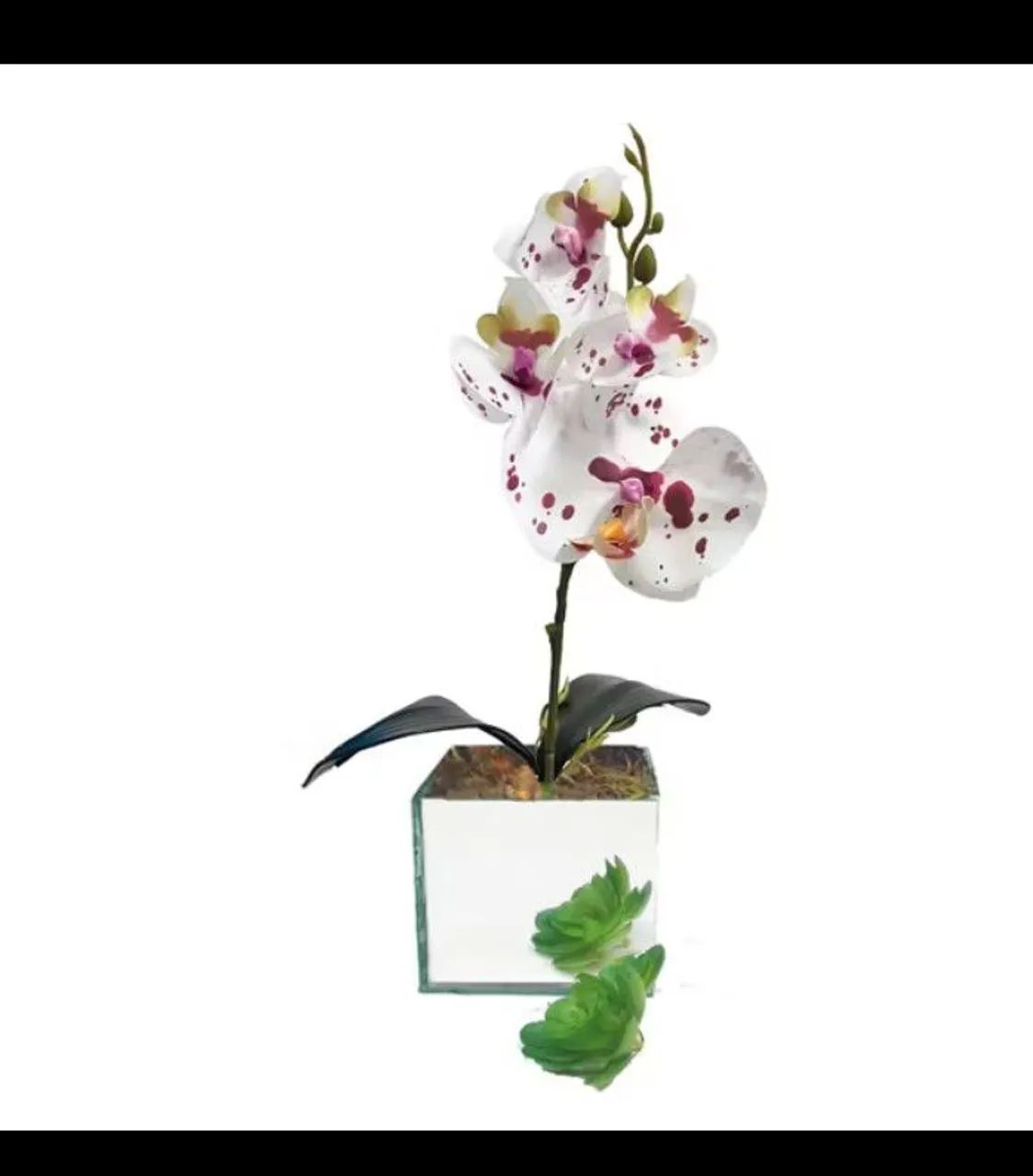 Vasinhos lindos de vidro com plantas artificial - Foto 2