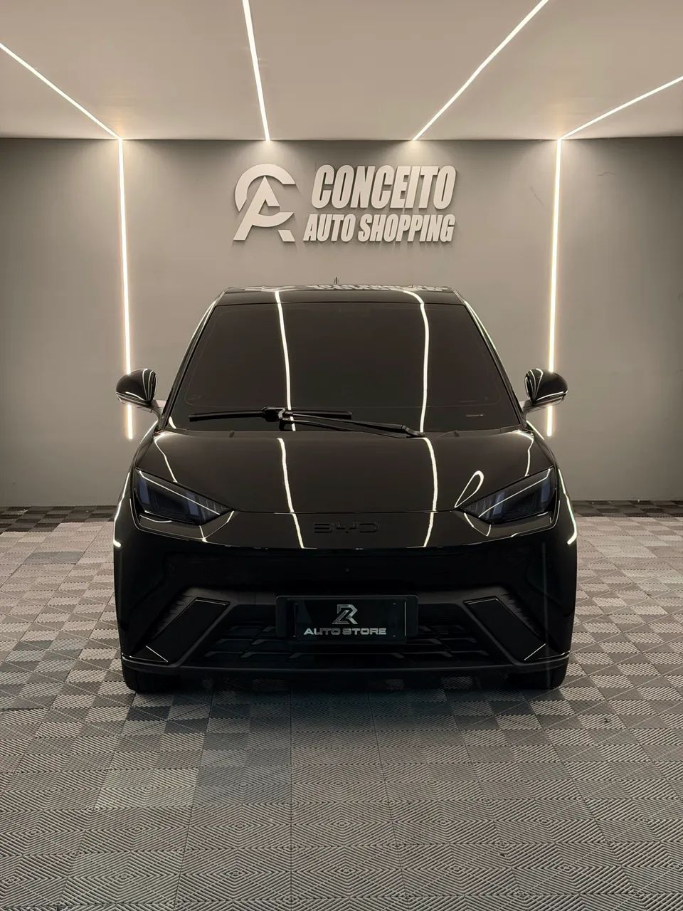BYD Dolphin Mini (Elétrico) 2026 - Foto 2