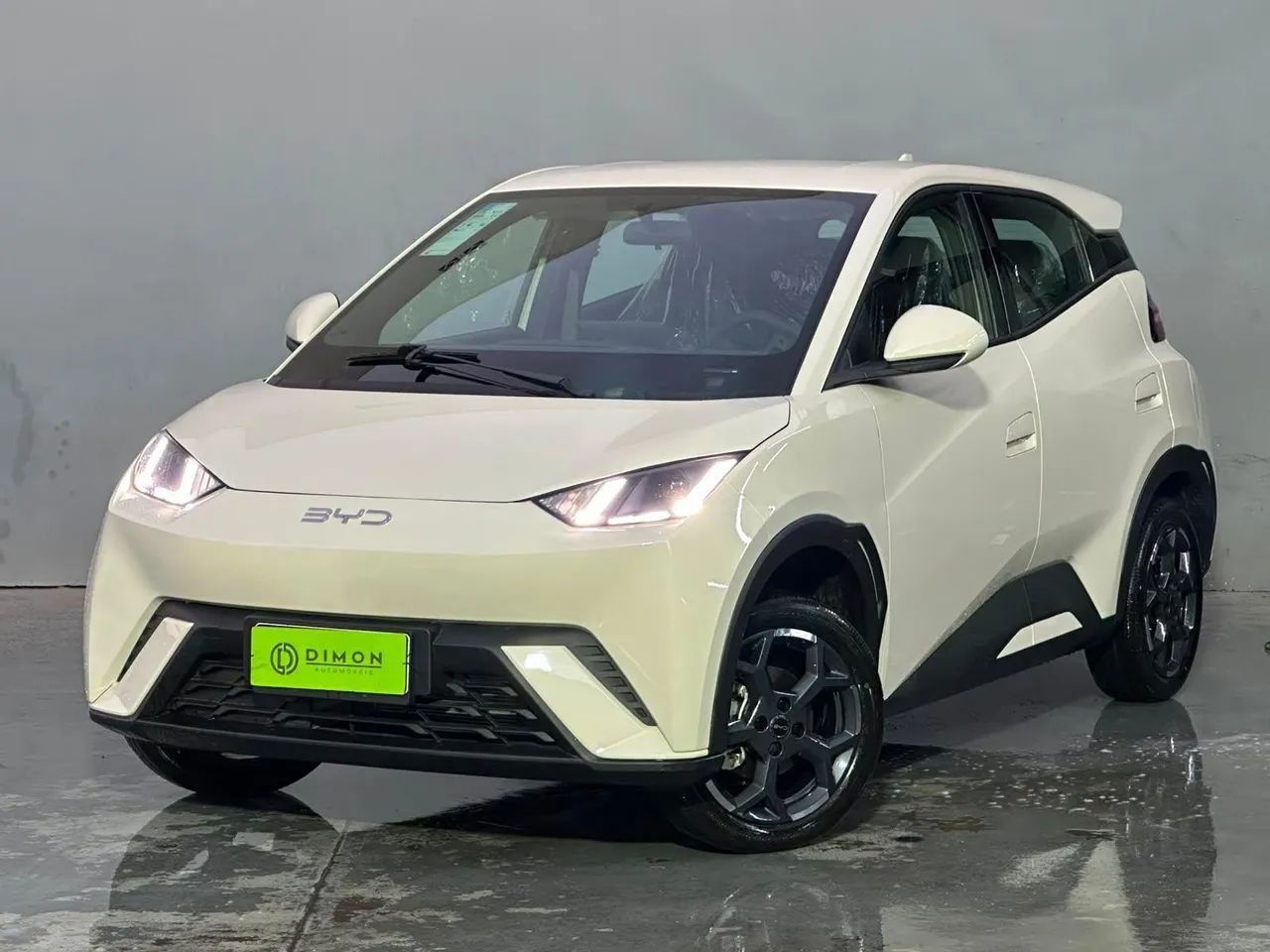 BYD Dolphin Mini (Elétrico) 2027 - Foto 2