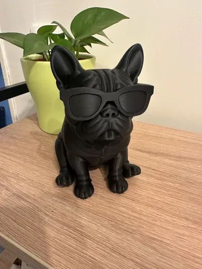  Buldogue Francês Estiloso - Foto 4