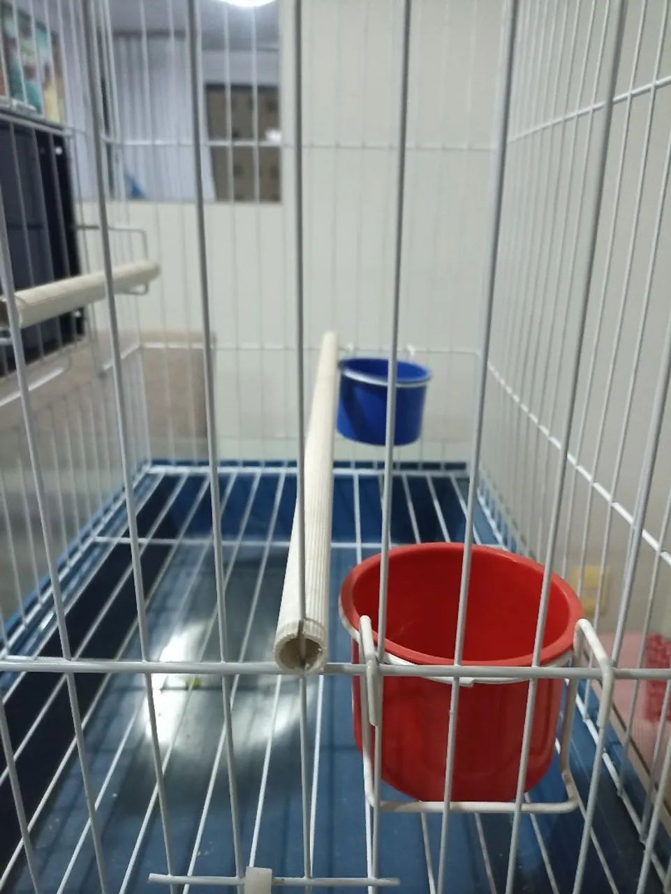 Gaiola calopsita - Foto 2