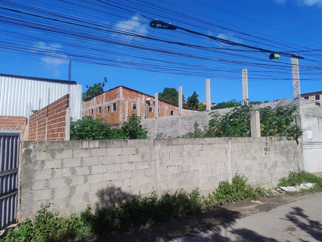 Foto - Salvador - Jardim das Margaridas