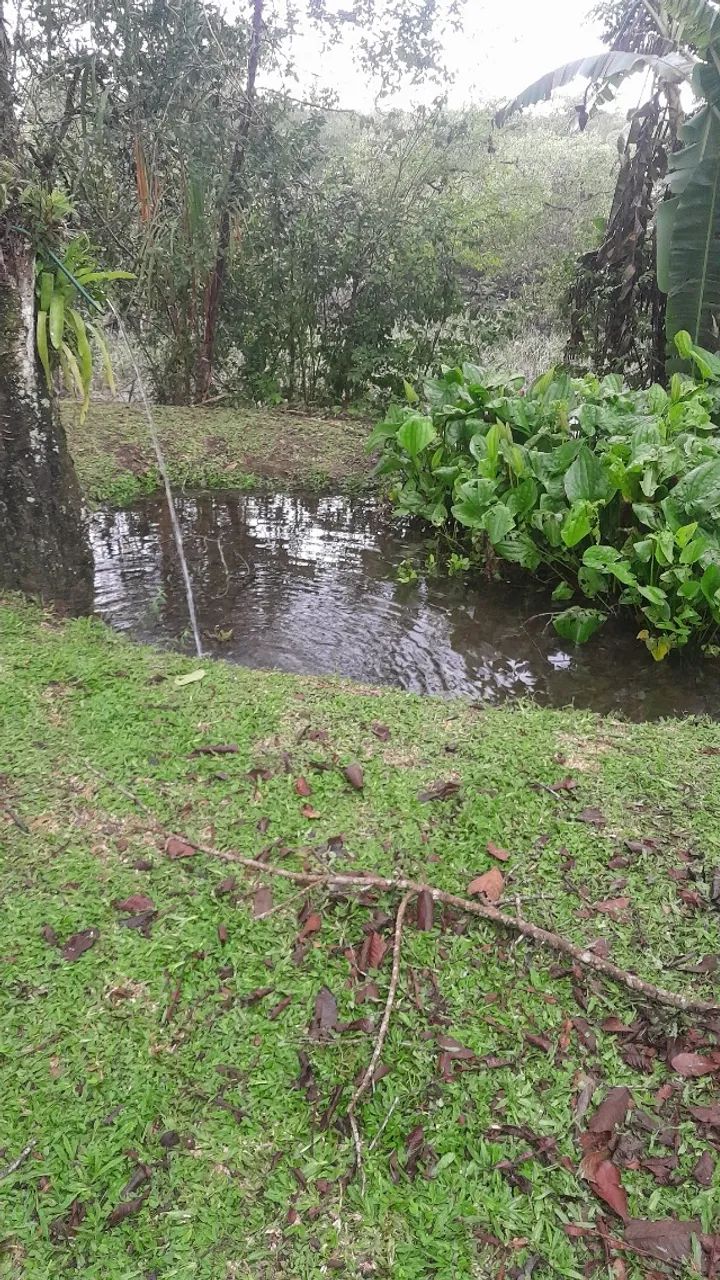 Chácara  - Foto 4