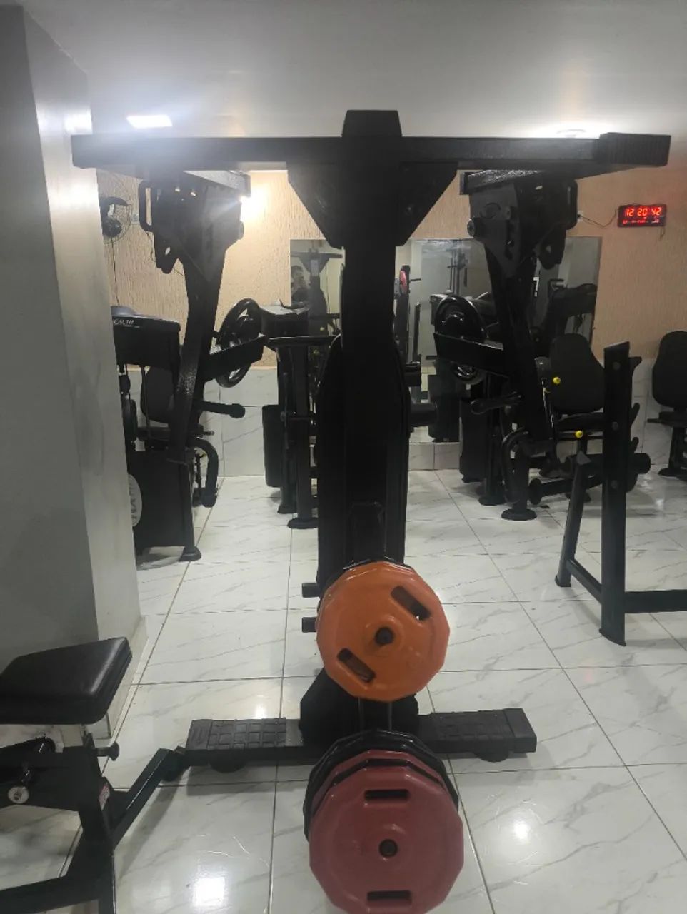 Voador physicus  - Foto 2