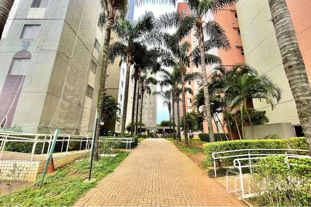 Imóvel na Alexandre Levi com 3 dormitórios e 63m² - Foto 3