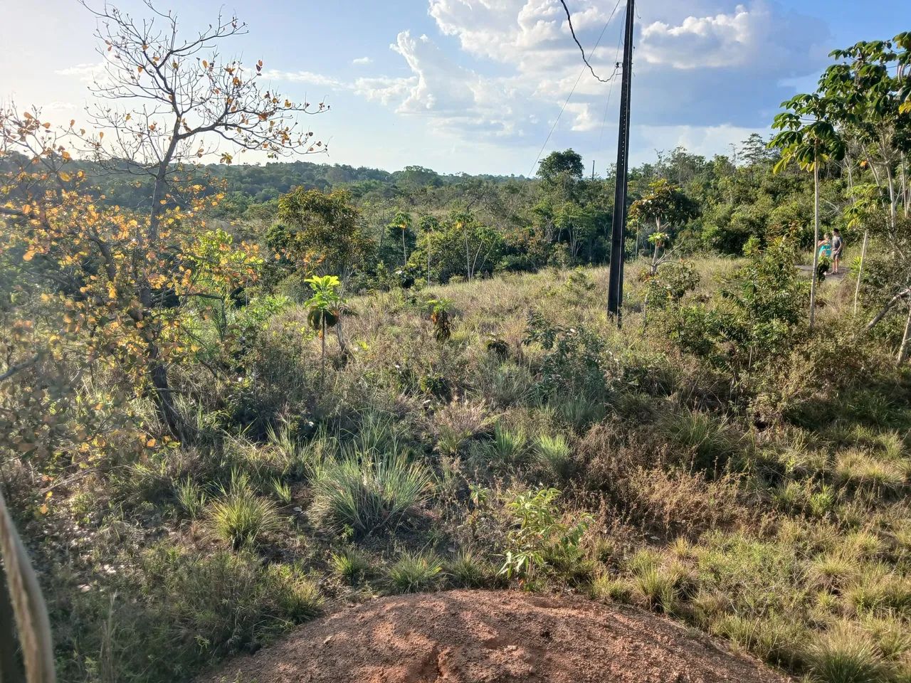 Sitio à Venda - Foto 2