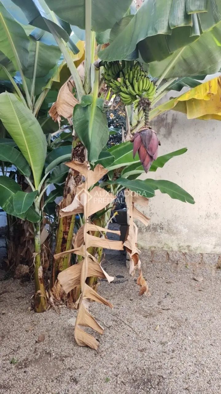 Terreno no bairro Santa Mônica. - Foto 4
