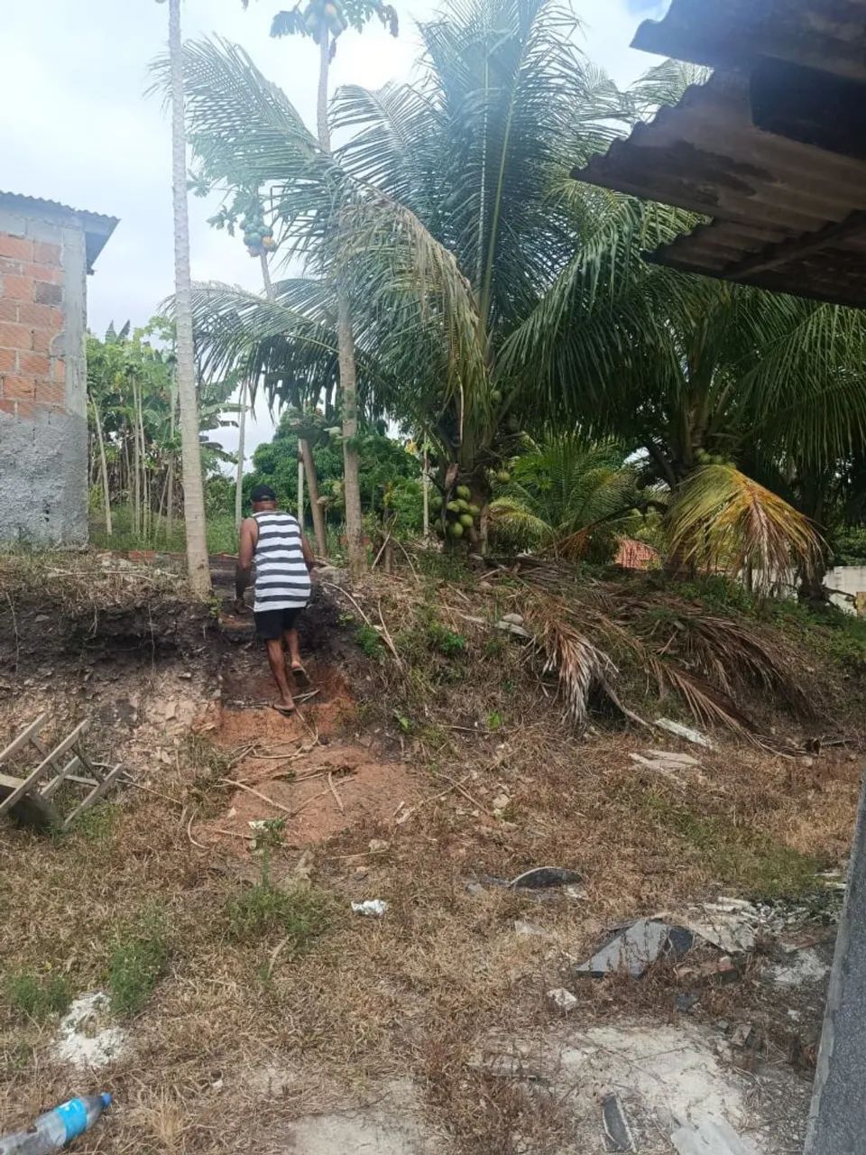Terreno  - Foto 4