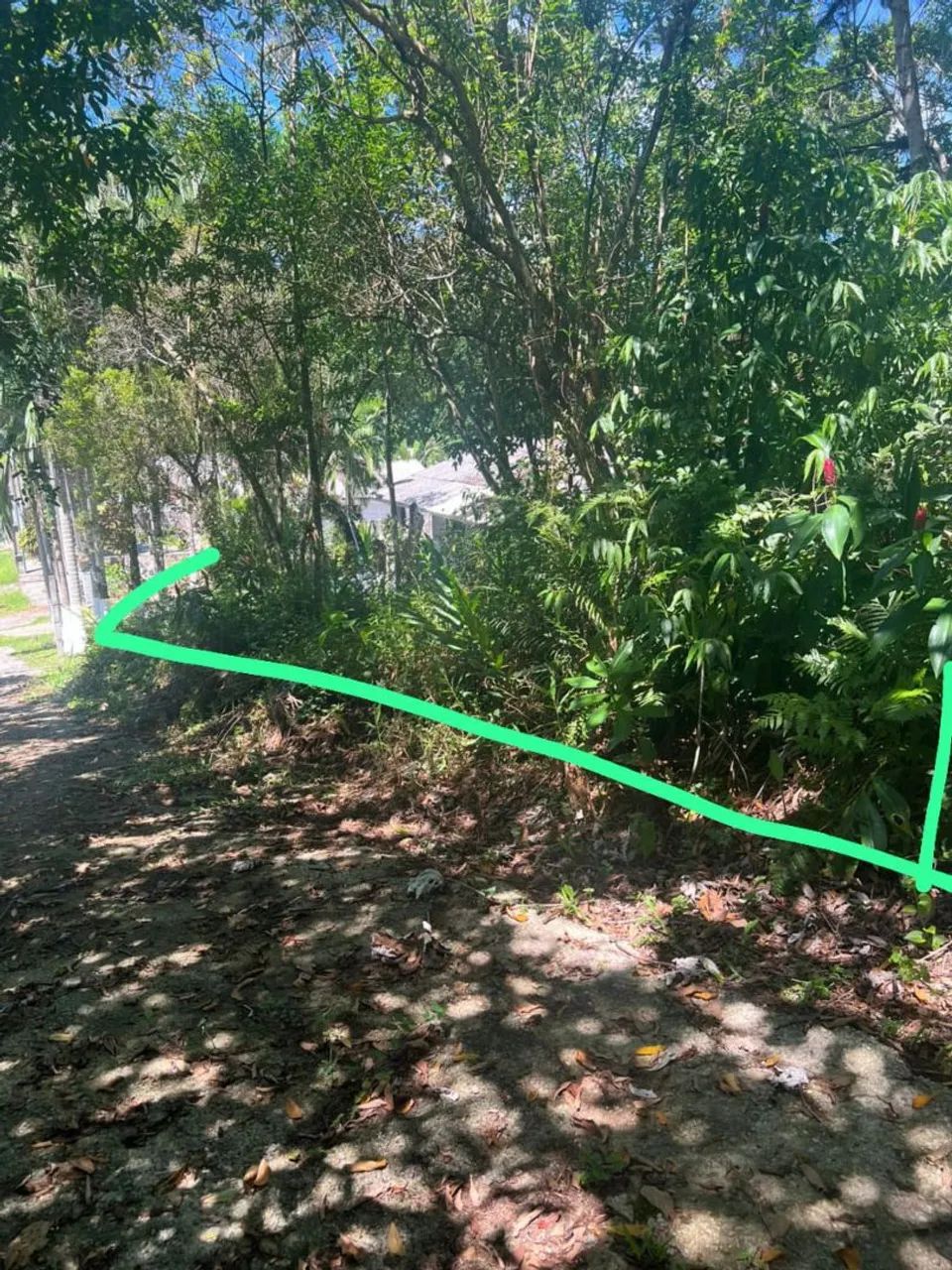 Foto - Matinhos - 