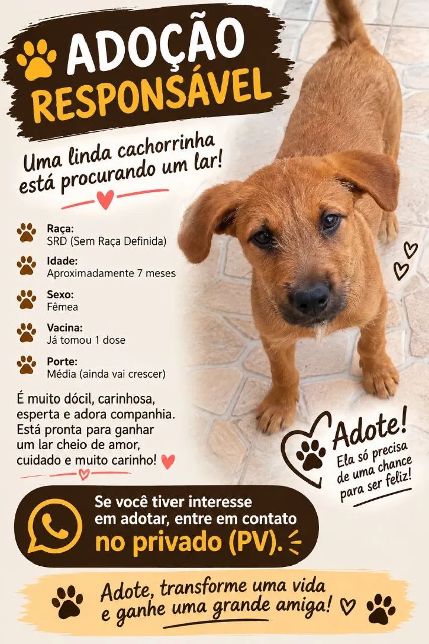 Doa de uma cachorrinha uma 