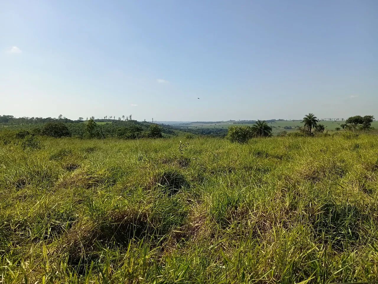 Terreno 16 hectares Corrego Danta MG