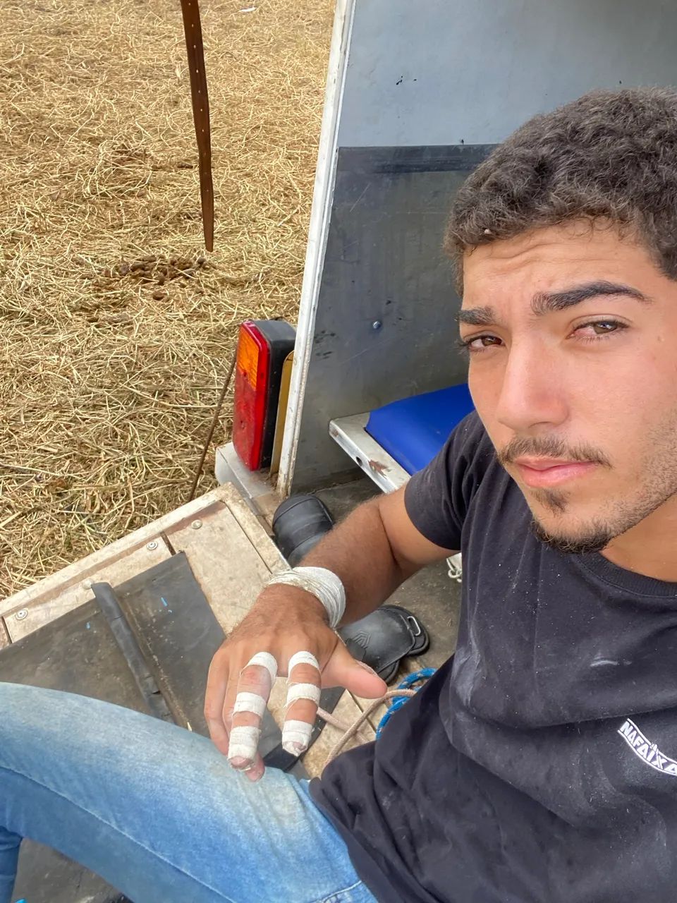 Cavalo de direita  - Foto 3