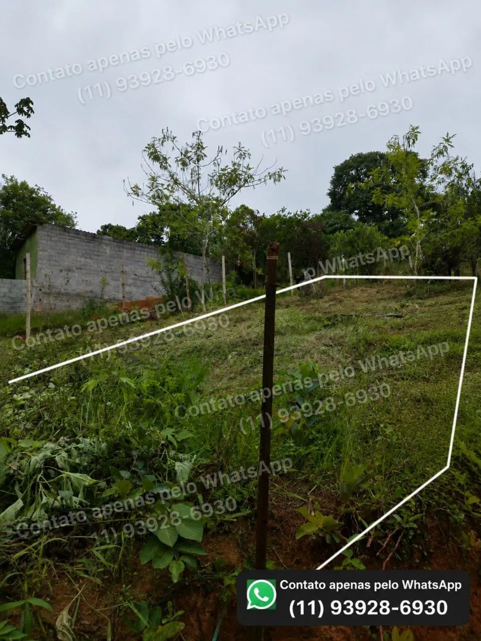 Foto - São Roque - Caete (Mailasqui)
