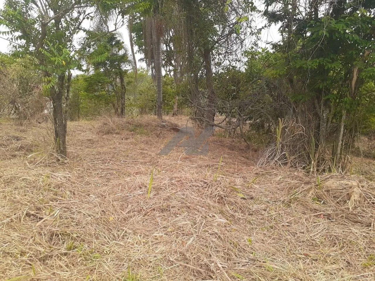 terreno - Joaquim Egídio - Campinas - Foto 2