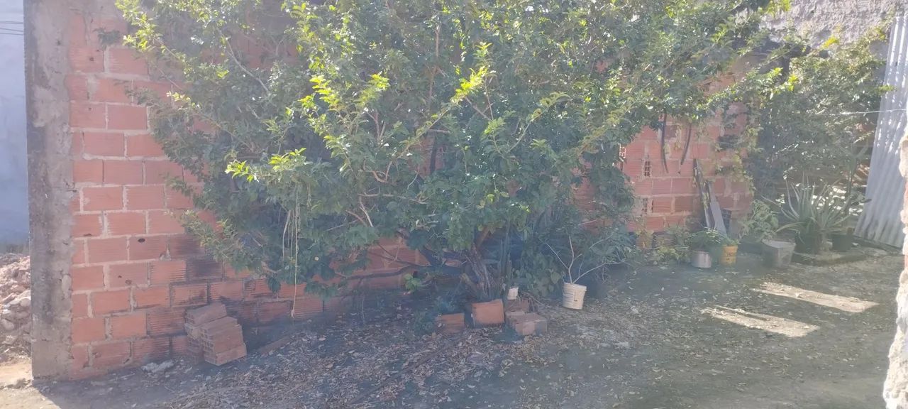 Vendo casa e Terreno  - Foto 3