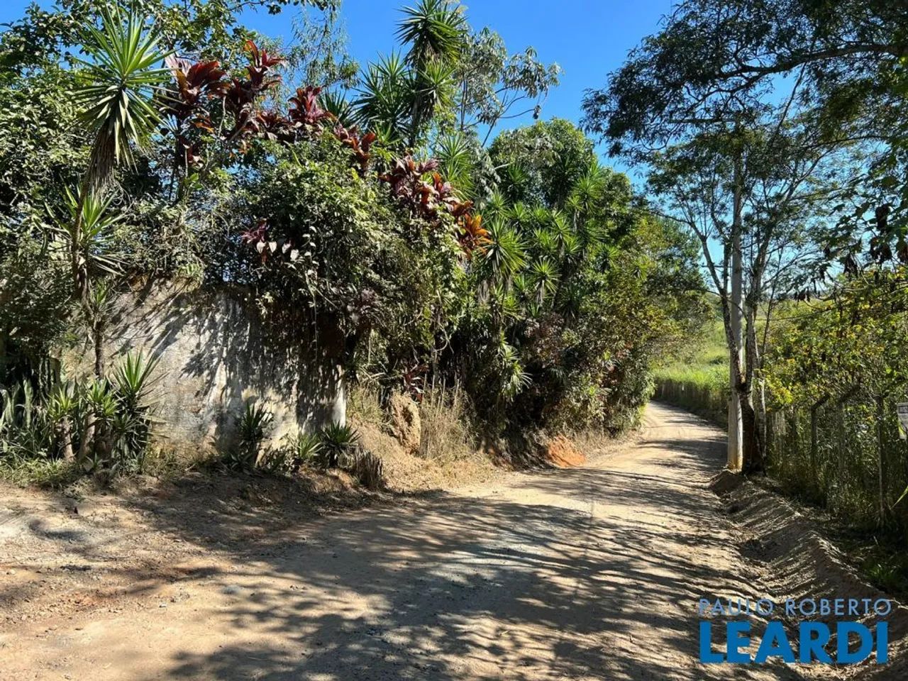 AREA - PARQUE AGRINCO - SP - Foto 3
