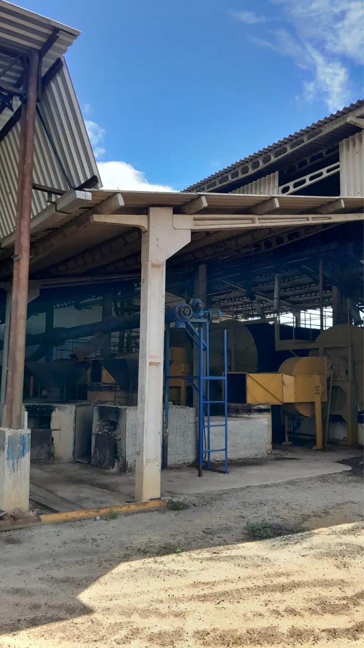 Fazenda com alta produção  - Foto 5