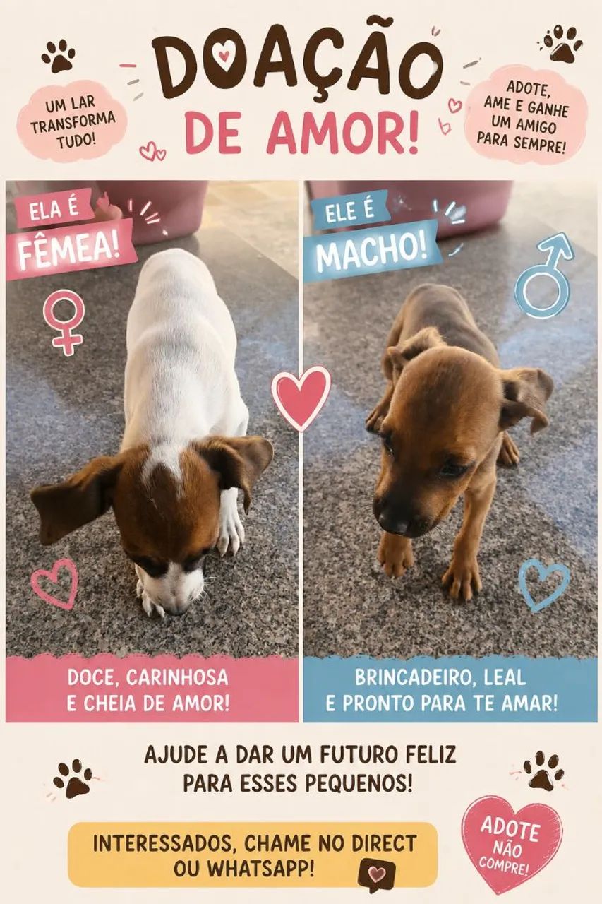 Filhotes para doação  - Foto 3