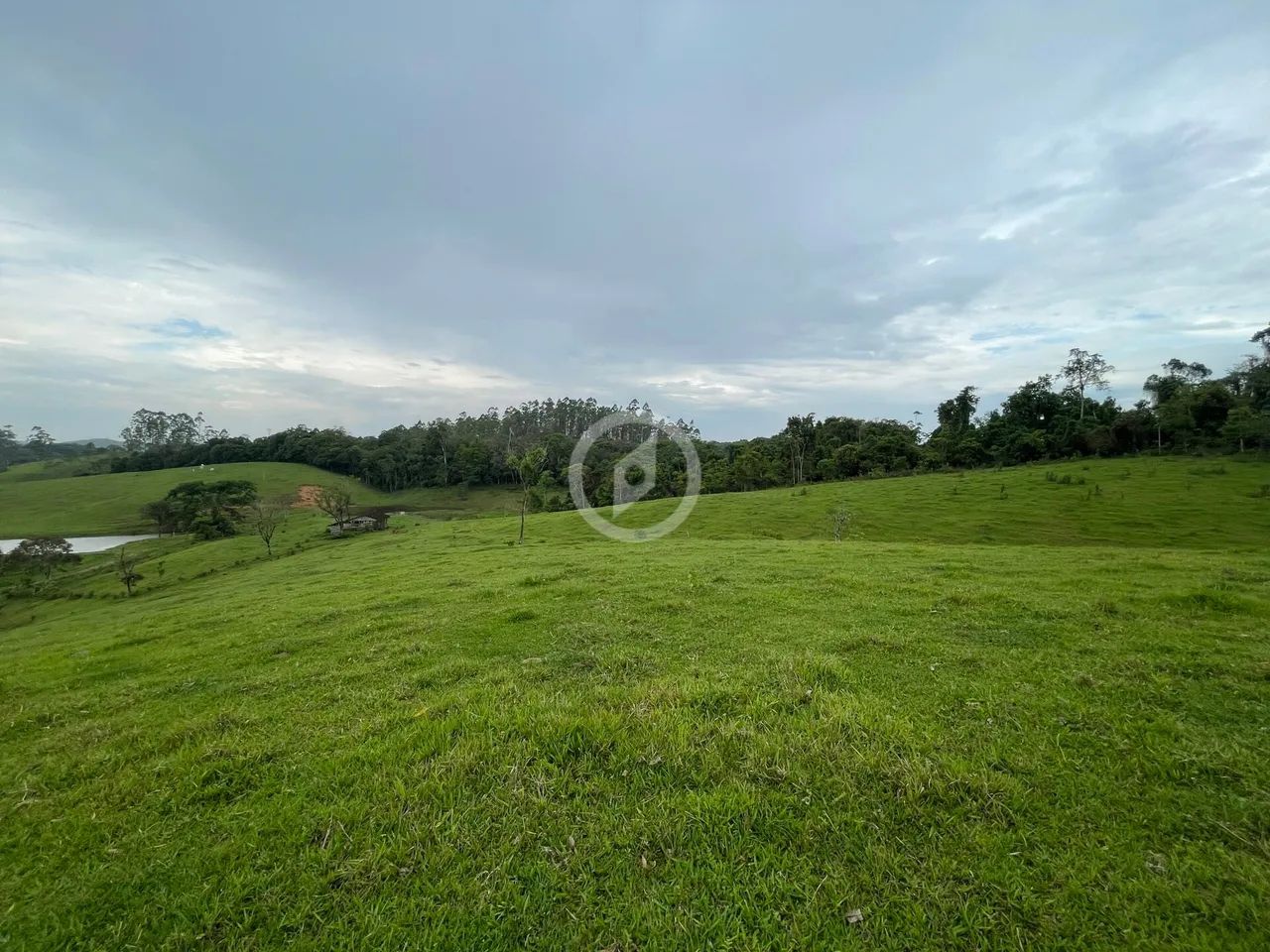 Terreno com pastagem de ampla metragem