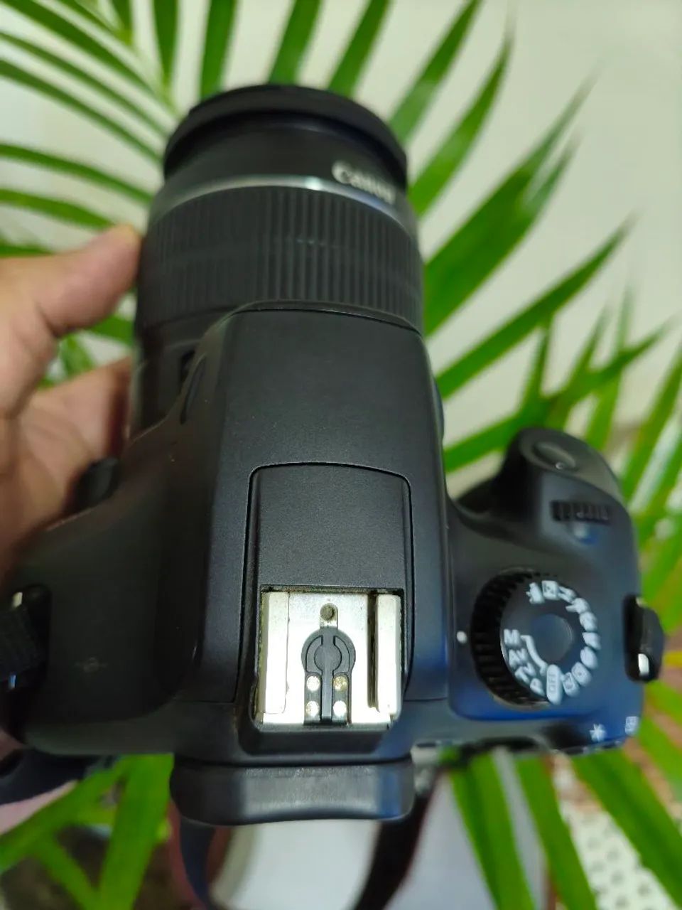 Canon t100 - Foto 5