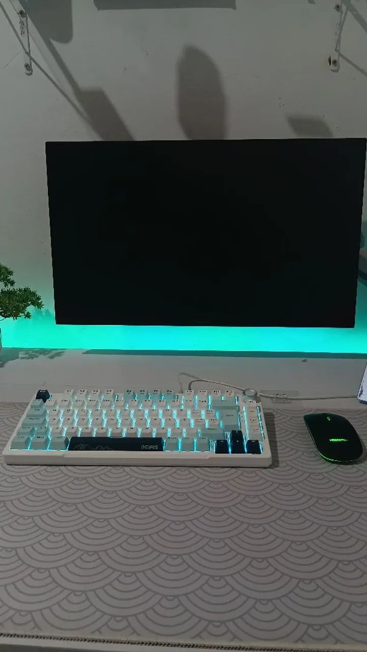 MONITOR  + TECLADO MECÂNICO + MOUSE E MOUSEPAD + BRAÇO ARTICULADO 
