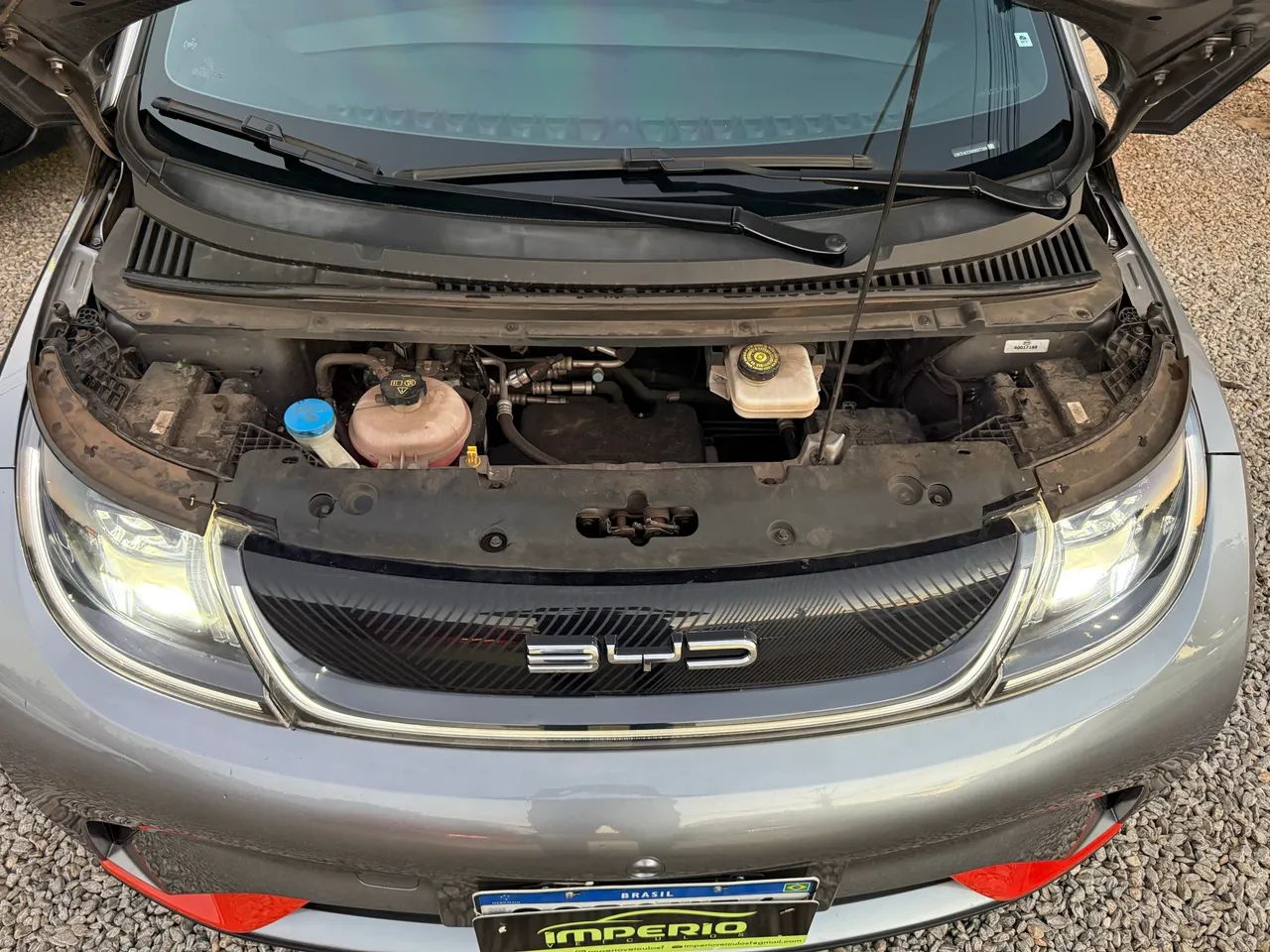BYD Dolphin EV (Elétrico) 2024 - Foto 2